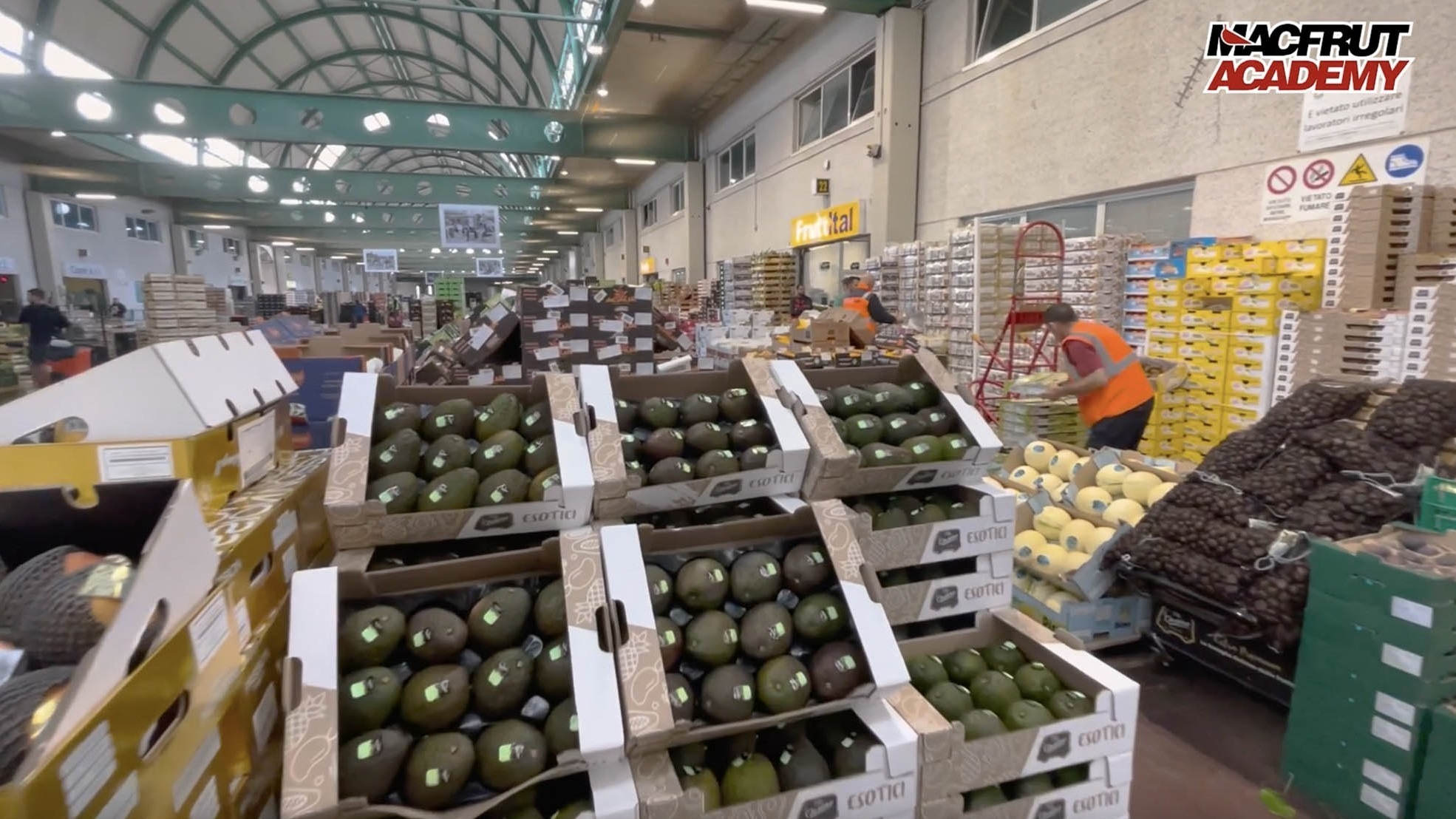 MF24_Macfrut Academy_Market Rome|MF24_Cristophe Laffon_Orsero|MF24_Fabio Del Bravo_Ismea|MF24_Macfrut Academy Backstage